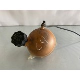 Reservatório Água Radiador Citroen C4