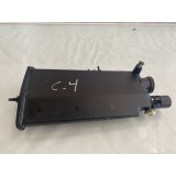 Filtro Canister Citroen C4 