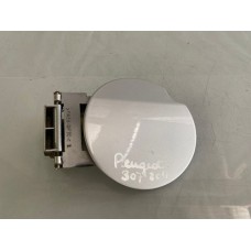 Portinhola Tanque Combustível Peugeot 307 