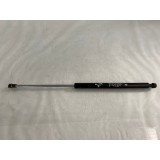 Amortecedor Tampa Traseira Peugeot 307