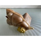 Reservatório Água Radiador Ford Ecosport