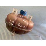 Reservatório Água Radiador Fiat Mobi 2022