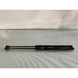 Par Amortecedor Tampa Traseira Ford Focus 2011