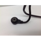 Sensor Detonação Duplo Bmw 745 4.4  V8 2002. 1703592